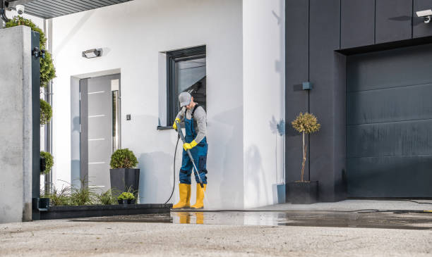 Best Soft Washing  in Parkwood, CA